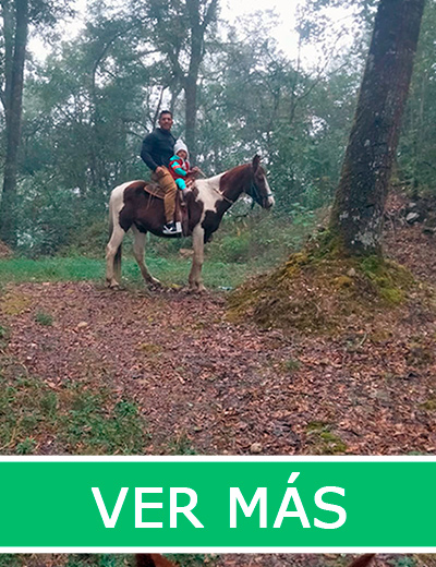que hacer en zacapoaxtla, paseo a caballo
